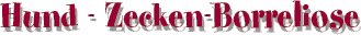 zecken-borreliose beim hund